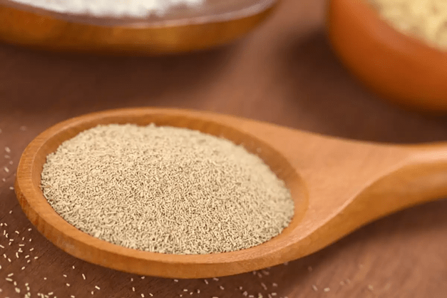 SVE ŠTO TREBA DA ZNATE O KVASCU