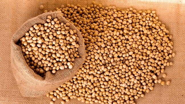 Koje namirnice su bogate posnim proteinima?