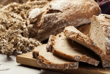 KAKO JE SVE POČELO? PUTOVANJE KVASCA KROZ VREME